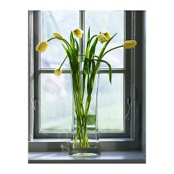  Lọ hoa cao Ikea--REKTANGEL(Vase)